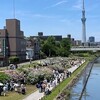 かみさんと自転車で旧中川水辺公園と亀戸中央公園
