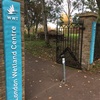 ロンドン観光。穴場？？カワウソに会えるかも…「London Wetland Centre ロンドン湿地帯センター」