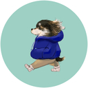 年収300万円のミニマリスト生活+α