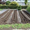 耕運しておいた