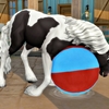 Horse Ranch（11）