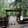 雨の嵯峨野散策　