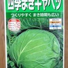 水道管の継ぎ手に「つっかえ棒」を通してキャベツを水耕栽培。落下を防げるか試してみます