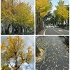 🍀お知らせ🍀