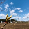 自主隔離を終え、地元へ。