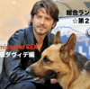 ダヴィデ＆レックス〜ローマ警察シェパード犬刑事☆総合ランキング発表☆第1位 & 2位