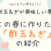 新玉ねぎが美味しい季節！この春に作りたい「酢玉ねぎ」の紹介