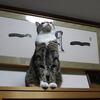 Kの応酬