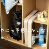 もうそんな季節