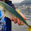 横須賀ハシゴ釣行！うみかぜ公園→浦賀陸軍桟橋で念願の青物ゲット♪♪