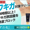 ニオイの原因を根本から絶つW薬用有効成分配合！【アニセ ワキガ対策クリーム】（1回目）