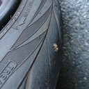 〜偏見と妄想の車ブログ〜 時々バイク