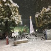 雪、雪、雪。赤羽も銀世界。