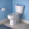 Choosing The Best Toilet For Your Home