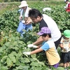 観覧募集のお知らせ　 7月2日(土)　「第8回　兵庫県子ども環境フォーラム」