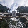 大和鴨大明神 下鴨社 鴨都波神社