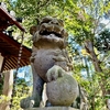 リアルワールド番外編：東金日吉神社の狛犬さん