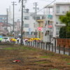 「氷雨」に、草木が潤う。