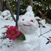 雪が降ったら