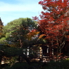 11月13日　永観堂　禅林寺