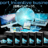 藤田仁の通信ソフトウェア副業Report Incentive Business（RIB）レビュー