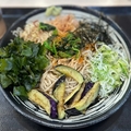 ゆで太郎　船橋北口店　その八十四　〜茄子のそばを極めてみる　その十八〜