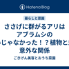 ささげに群がるアリはアブラムシのせいじゃなかった！？植物と虫の意外な関係