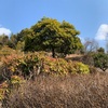 徳島植物園 ５-②