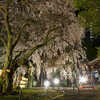 大石神社・ライトアップ