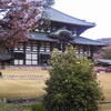 あをによし奈良の都は咲く花の（５）