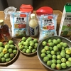 梅・ラッキョウ・ショウガで保存食を作りました。👩‍🍳🍷