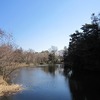 石神井公園（東京都練馬区）