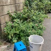 道路にはみ出た草木の剪定