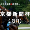 ２０２３京都新聞杯（ＧⅡ）予想