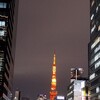 派遣社員として再出発