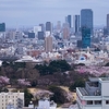 新宿御苑の桜