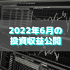 【目指せ不労所得】2022年6月の投資収益公開