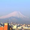 久々の富士山