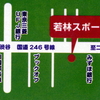 本日の世田谷区軟式野球連盟の大会は雨で中止