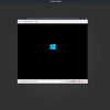 VMware Player in docker container on NixOS