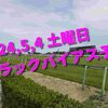 2024,5,4 土曜日 トラックバイアス予想 (東京競馬場、京都競馬場、新潟競馬場)