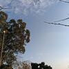 耳学のすすめ