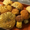 　肴の天然きのこ料理【アカヤマドリのシチュー】