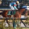 手緩い臨戦過程だったも、馬体の張りや艶はキープ。ゲートから出していった分、淀みない流れを作ってしまうも、最後の直線では存分に渋太さを発揮。ただ、勝ち馬が離れたところからスパッと切れたので、抵抗できずに２着。負けたのは残念も、走破時計は優秀ですし、改めての能力の高さを示す。☆ペースセッティング