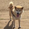 年度末ですね