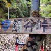 鍋谷峠偵察と串柿の里ライド