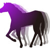 【追い切り注目馬】【キャピタルS】【シャングリラS】【カトレアS】他　2024/11/23(土) 東京競馬　馬場速くとも、トンネル長くとも