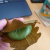 GW最後の一日