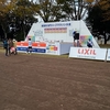 昨年より３割増の月177km　～2024年11月のランニング