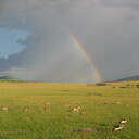 いつでも自然がそばにいる